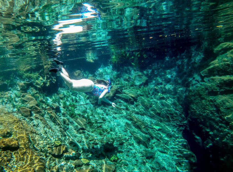 Mergulho no Balneário Nascente Azul em Bonito, Mato Grosso do Sul